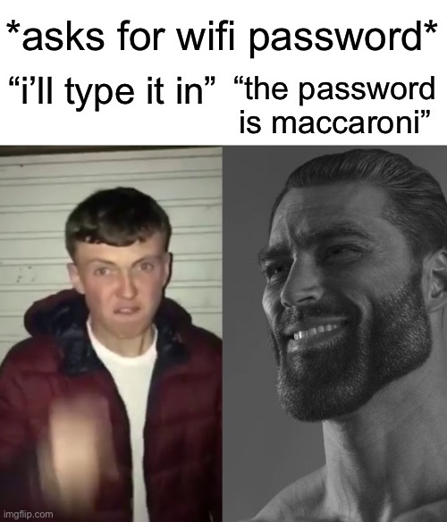 wifi password | *asks for wifi password*; “the password is maccaroni”; “i’ll type it in” | image tagged in average fan vs average enjoyer,memes,funny,wifi | made w/ Imgflip meme maker