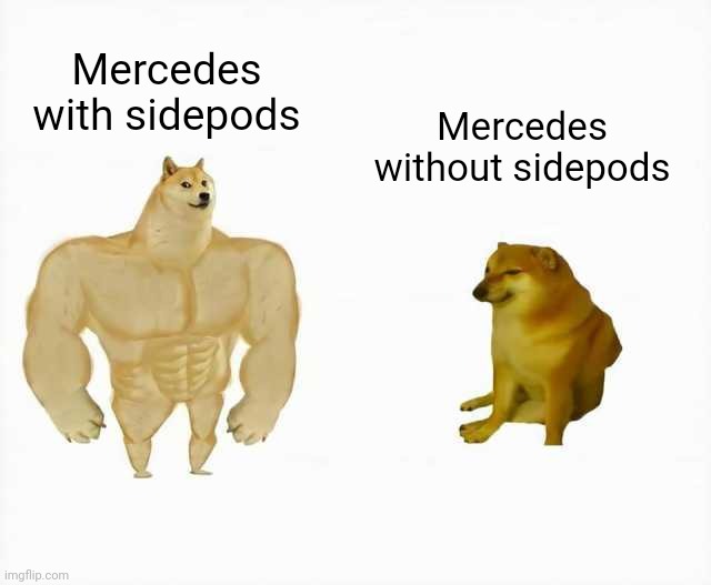 Strong dog vs weak dog | Mercedes with sidepods; Mercedes without sidepods | image tagged in strong dog vs weak dog,formula 1,mercedes | made w/ Imgflip meme maker