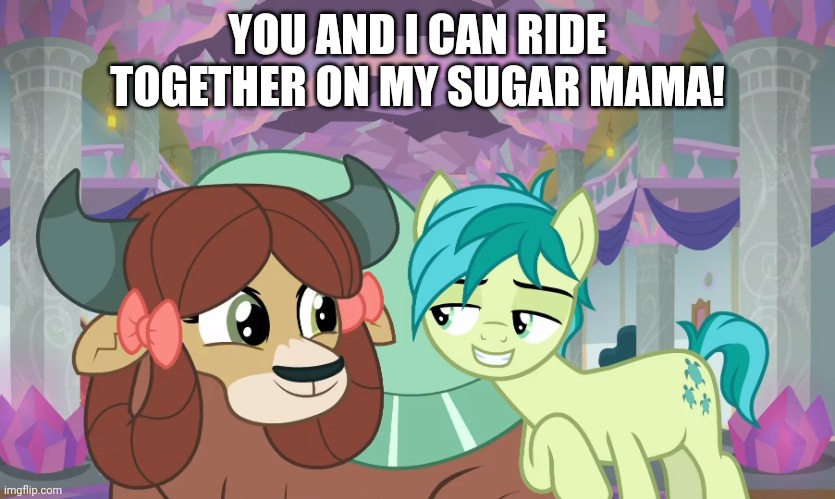 YOU AND I CAN RIDE TOGETHER ON MY SUGAR MAMA! | image tagged in suggestive,memes,my little pony,worst mistake of my life | made w/ Imgflip meme maker