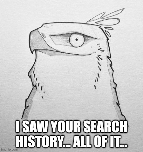 I SAW YOUR SEARCH HISTORY... ALL OF IT... | image tagged in try me hawk | made w/ Imgflip meme maker