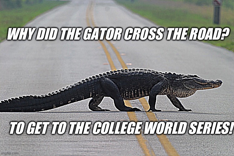 Gators College World Series | WHY DID THE GATOR CROSS THE ROAD? TO GET TO THE COLLEGE WORLD SERIES! | image tagged in world series,baseball,gators,florida | made w/ Imgflip meme maker