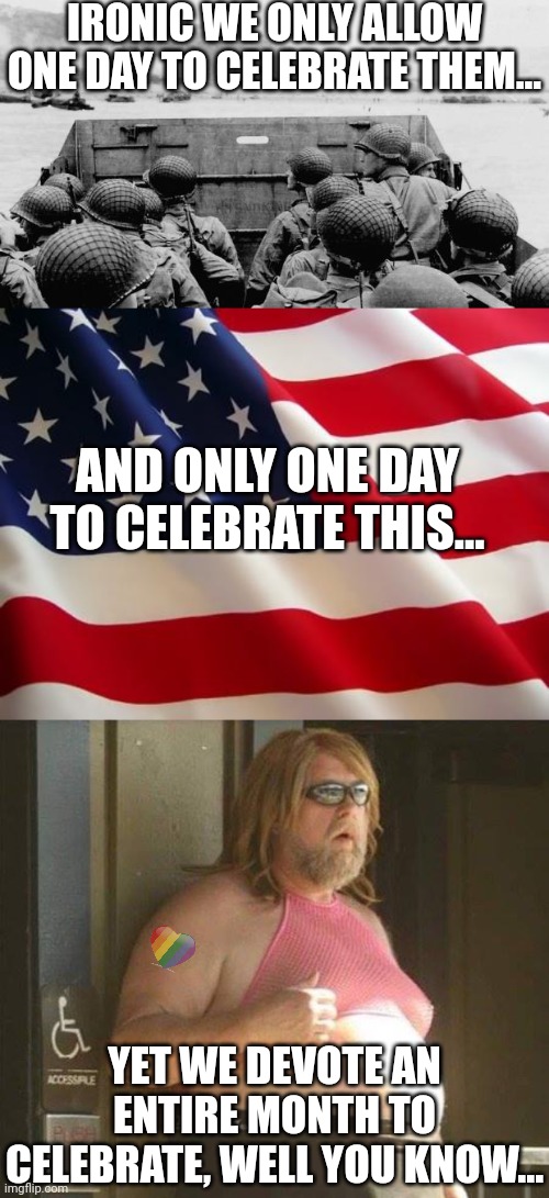 We need to stop devoting entire months to sexual preferences..... you think? One day is more than enough | IRONIC WE ONLY ALLOW ONE DAY TO CELEBRATE THEM... AND ONLY ONE DAY TO CELEBRATE THIS... YET WE DEVOTE AN ENTIRE MONTH TO CELEBRATE, WELL YOU KNOW... | image tagged in ww2,american flag,transgender,hypocrite,somethings wrong,liberal media | made w/ Imgflip meme maker
