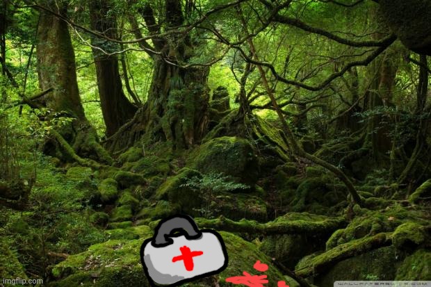 Well somebody finally stopped trailing blood | image tagged in rain forest | made w/ Imgflip meme maker