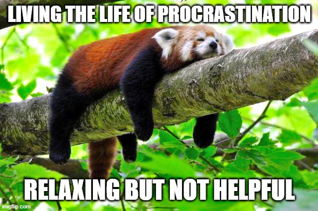 Procrastination | LIVING THE LIFE OF PROCRASTINATION RELAXING BUT NOT HELPFUL | image tagged in procrastination | made w/ Imgflip meme maker