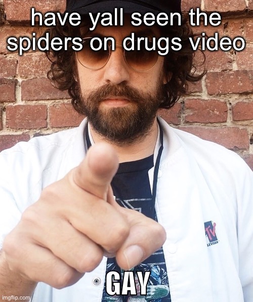 GAY | have yall seen the spiders on drugs video | image tagged in gay | made w/ Imgflip meme maker