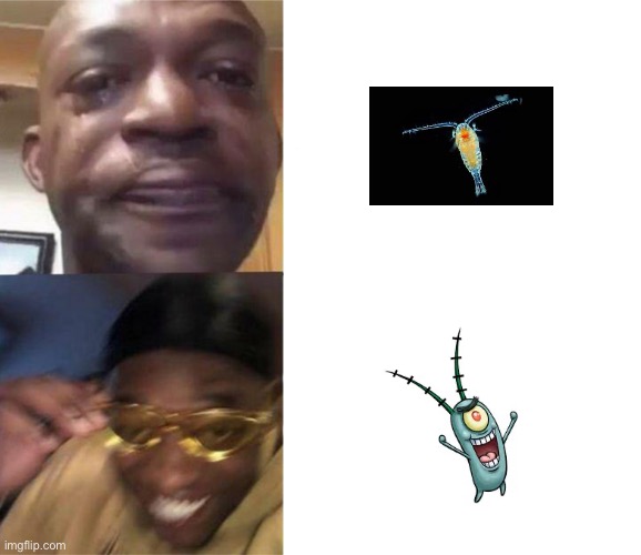 wich is the better plankton | image tagged in black guy crying and black guy laughing | made w/ Imgflip meme maker