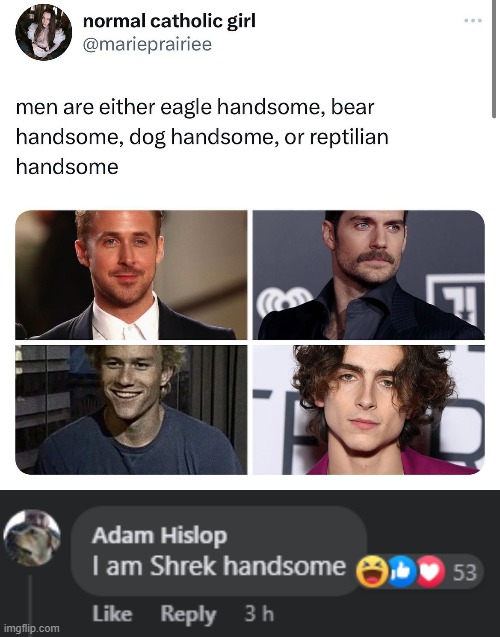 Handsome | image tagged in handsome,men,shrek | made w/ Imgflip meme maker