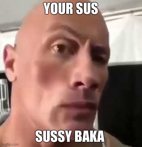 YOUR SUS SUSSY BAKA | image tagged in the rock eyebrows | made w/ Imgflip meme maker