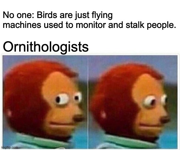 Monkey Puppet | No one: Birds are just flying machines used to monitor and stalk people. Ornithologists | image tagged in memes,monkey puppet | made w/ Imgflip meme maker