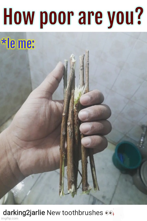 At least it's Eco friendly ♻️ | How poor are you? *le me: | image tagged in memes,toothbrush,india,indians,environment,broke | made w/ Imgflip meme maker