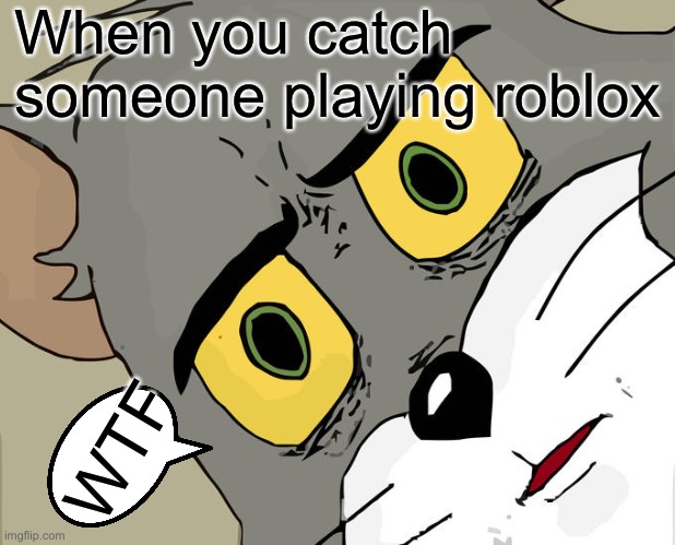 Unsettled Tom | When you catch someone playing roblox; WTF | image tagged in memes,unsettled tom | made w/ Imgflip meme maker