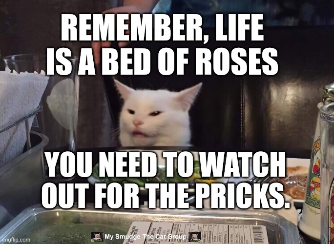 REMEMBER, LIFE IS A BED OF ROSES; YOU NEED TO WATCH OUT FOR THE PRICKS. | image tagged in smudge the cat | made w/ Imgflip meme maker