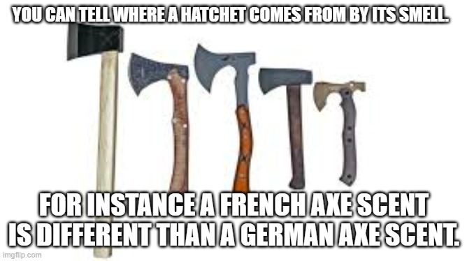 meme by Brad axes smell different | YOU CAN TELL WHERE A HATCHET COMES FROM BY ITS SMELL. FOR INSTANCE A FRENCH AXE SCENT IS DIFFERENT THAN A GERMAN AXE SCENT. | image tagged in humor | made w/ Imgflip meme maker