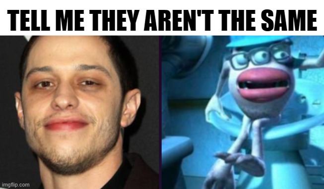 laugh peasants | TELL ME THEY AREN'T THE SAME | image tagged in pete davidson,monsters inc,memes | made w/ Imgflip meme maker