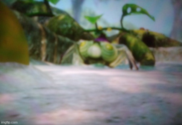 boy why you so onion | made w/ Imgflip meme maker