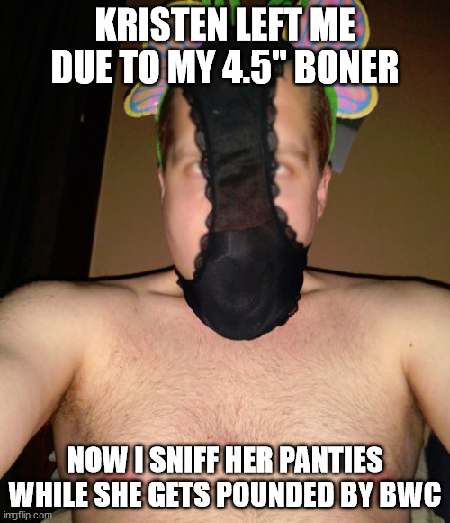Hamper Hummingbird | KRISTEN LEFT ME DUE TO MY 4.5" BONER; NOW I SNIFF HER PANTIES WHILE SHE GETS POUNDED BY BWC | image tagged in hamper hummingbird | made w/ Imgflip meme maker
