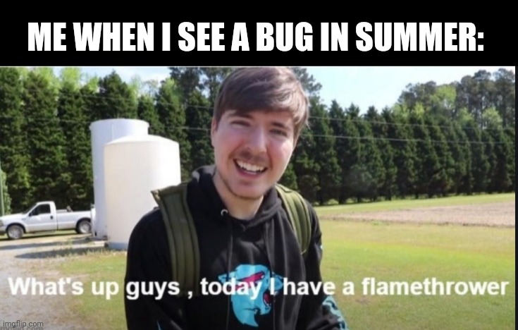 What's up guys, today I have a flamethrower | ME WHEN I SEE A BUG IN SUMMER: | image tagged in what's up guys today i have a flamethrower | made w/ Imgflip meme maker
