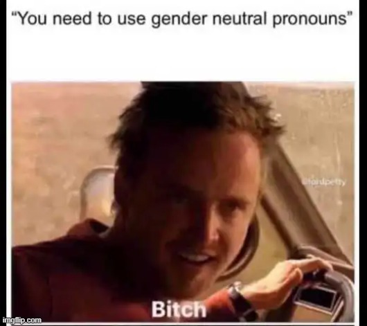 LOL!! | image tagged in gender identity,liberals,pronouns,memes | made w/ Imgflip meme maker