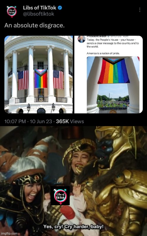 Die mad you piece of shit. | image tagged in pride,lgbtq,homophobic,tiktok,cope | made w/ Imgflip meme maker