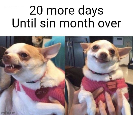 angry chihuahua happy chihuahua | 20 more days
Until sin month over | image tagged in angry chihuahua happy chihuahua | made w/ Imgflip meme maker
