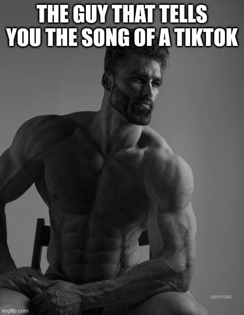 when you ask for the name of a song | THE GUY THAT TELLS YOU THE SONG OF A TIKTOK | image tagged in giga chad,funny memes,giga chad template,fun stream,fun,memes | made w/ Imgflip meme maker