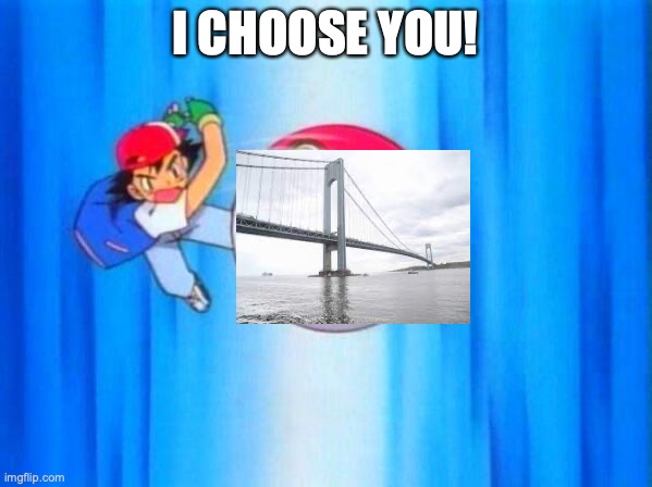 I choose you! | I CHOOSE YOU! | image tagged in i choose you | made w/ Imgflip meme maker