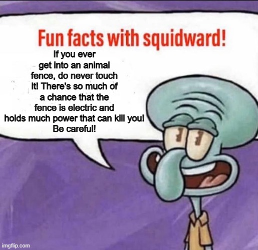 Fun Facts with Squidward | If you ever get into an animal fence, do never touch it! There's so much of a chance that the fence is electric and holds much power that can kill you!
Be careful! | image tagged in fun facts with squidward | made w/ Imgflip meme maker