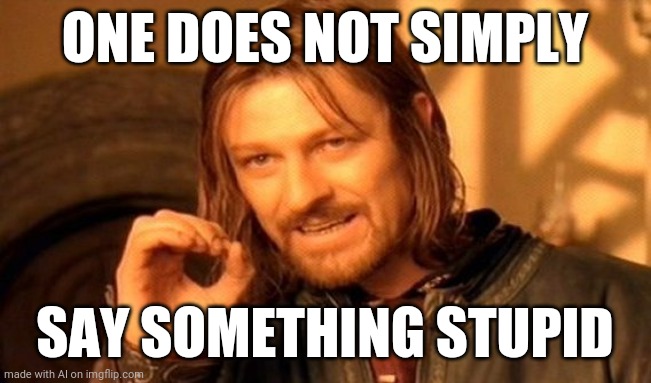 One Does Not Simply | ONE DOES NOT SIMPLY; SAY SOMETHING STUPID | image tagged in memes,one does not simply | made w/ Imgflip meme maker