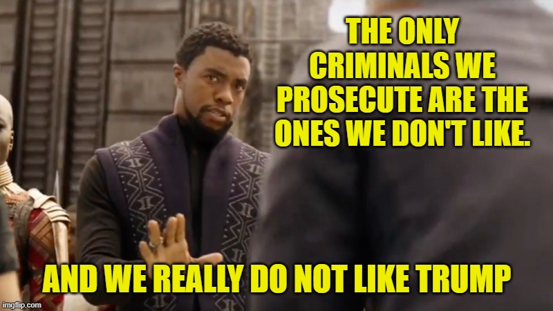 Black Panther | THE ONLY CRIMINALS WE PROSECUTE ARE THE ONES WE DON'T LIKE. AND WE REALLY DO NOT LIKE TRUMP | image tagged in black panther | made w/ Imgflip meme maker