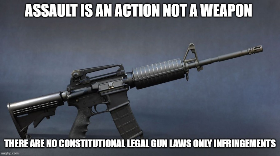 Assault is an action not a weapon  There are no constitutional legal gun laws only INFRINGEMENTS | ASSAULT IS AN ACTION NOT A WEAPON; THERE ARE NO CONSTITUTIONAL LEGAL GUN LAWS ONLY INFRINGEMENTS | image tagged in nra,assault weapons,assault | made w/ Imgflip meme maker