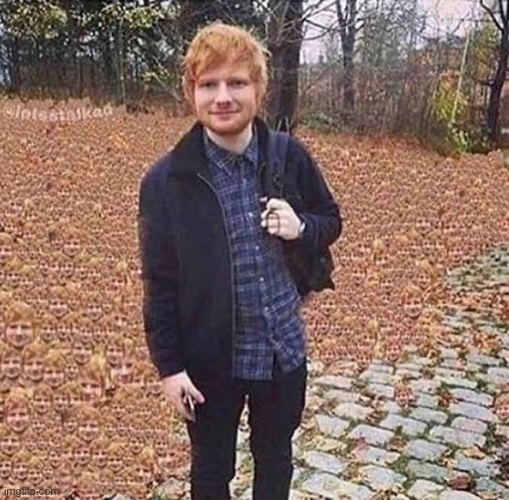 Cursed Ed Sheeran | image tagged in cursed ed sheeran | made w/ Imgflip meme maker