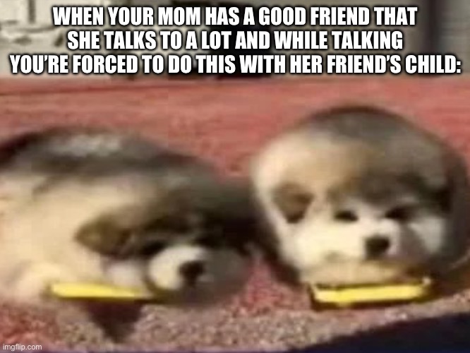 So why are we here again? | WHEN YOUR MOM HAS A GOOD FRIEND THAT SHE TALKS TO A LOT AND WHILE TALKING YOU’RE FORCED TO DO THIS WITH HER FRIEND’S CHILD: | image tagged in dog,rizz | made w/ Imgflip meme maker