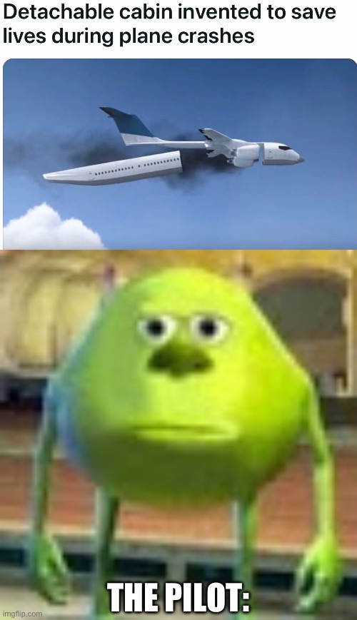 THE PILOT: | image tagged in sully wazowski | made w/ Imgflip meme maker