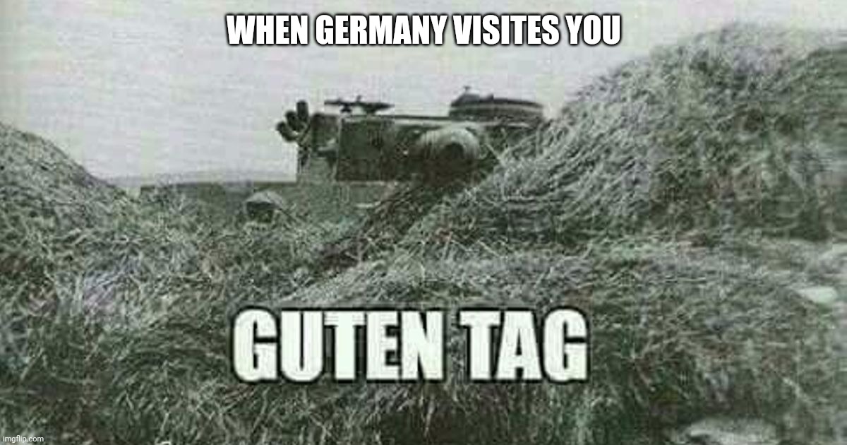 Ayo | WHEN GERMANY VISITES YOU | image tagged in german guten tag tiger,germany,ww2 | made w/ Imgflip meme maker