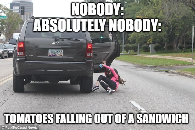 Happens way to often | NOBODY:
ABSOLUTELY NOBODY:; TOMATOES FALLING OUT OF A SANDWICH | image tagged in girl falling out of car | made w/ Imgflip meme maker