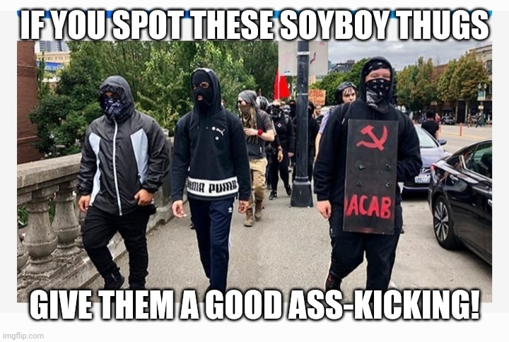 IF YOU SPOT THESE SOYBOY THUGS GIVE THEM A GOOD ASS-KICKING! | made w/ Imgflip meme maker