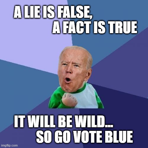 vote BLUE if you want to win! if youre a TRUE patriot... | A LIE IS FALSE,                
                A FACT IS TRUE; IT WILL BE WILD...        
        SO GO VOTE BLUE | image tagged in memes,success kid,joe biden,winner,vote,blue | made w/ Imgflip meme maker
