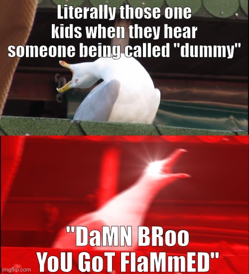 They are always over exaggerating like stfu | Literally those one kids when they hear someone being called "dummy"; "DaMN BRoo YoU GoT FlaMmED" | image tagged in screaming bird,fun,relatable,stfu,memes | made w/ Imgflip meme maker