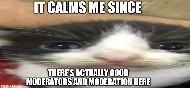 Mod Note: FAX | IT CALMS ME SINCE; THERE’S ACTUALLY GOOD MODERATORS AND MODERATION HERE | made w/ Imgflip meme maker