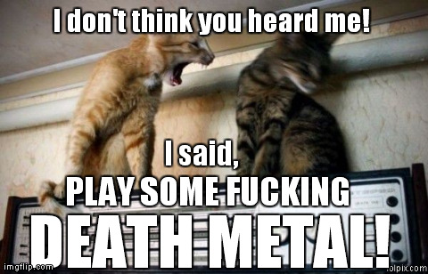 I don't think you heard me! I said,  PLAY SOME F**KING  DEATH METAL! | image tagged in funny,cats | made w/ Imgflip meme maker