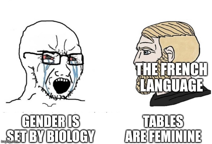 Soyboy Vs Yes Chad | THE FRENCH LANGUAGE; TABLES ARE FEMININE; GENDER IS SET BY BIOLOGY | image tagged in soyboy vs yes chad | made w/ Imgflip meme maker