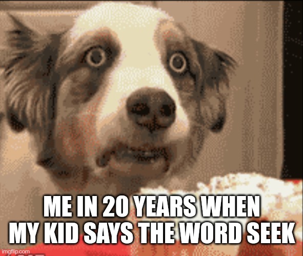 Doors | ME IN 20 YEARS WHEN MY KID SAYS THE WORD SEEK | image tagged in ptsd dog | made w/ Imgflip meme maker