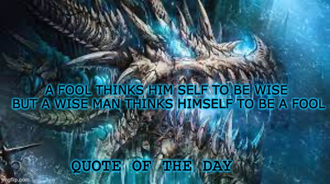 quote of the day | A FOOL THINKS HIM SELF TO BE WISE 
BUT A WISE MAN THINKS HIMSELF TO BE A FOOL; QUOTE OF THE DAY | image tagged in cool dragon,dragon,quotes | made w/ Imgflip meme maker