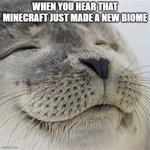 Content seal | WHEN YOU HEAR THAT MINECRAFT JUST MADE A NEW BIOME | image tagged in content seal | made w/ Imgflip meme maker
