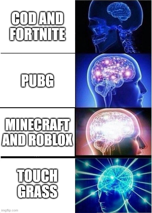 Expanding Brain | COD AND FORTNITE; PUBG; MINECRAFT AND ROBLOX; TOUCH GRASS | image tagged in memes,expanding brain | made w/ Imgflip meme maker