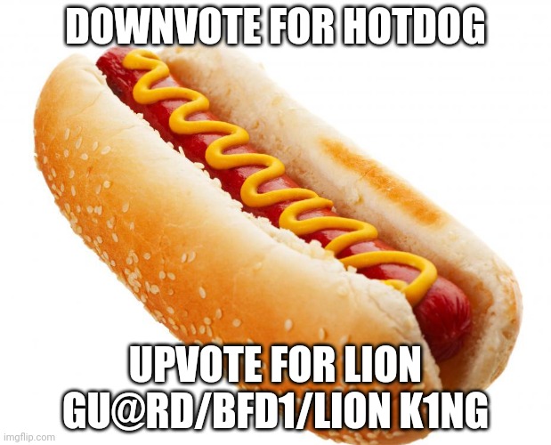 Hotdog | DOWNVOTE FOR HOTDOG; UPVOTE FOR LION GU@RD/BFD1/LION K1NG | image tagged in hotdog | made w/ Imgflip meme maker