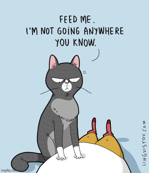 A Cat's Way Of Thinking | image tagged in memes,comics/cartoons,cats,feed me,go away,its not going to happen | made w/ Imgflip meme maker