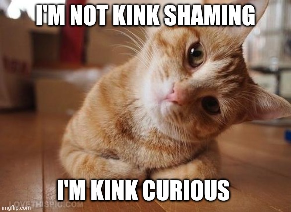 Kink curious | I'M NOT KINK SHAMING; I'M KINK CURIOUS | image tagged in curious question cat | made w/ Imgflip meme maker