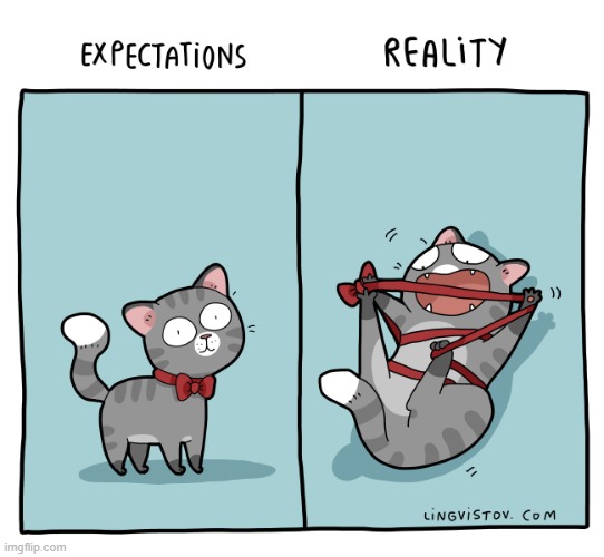 A Cat Guy's Way Of Thinking | image tagged in memes,comics/cartoons,cats,neck,tie,expectations vs reality | made w/ Imgflip meme maker