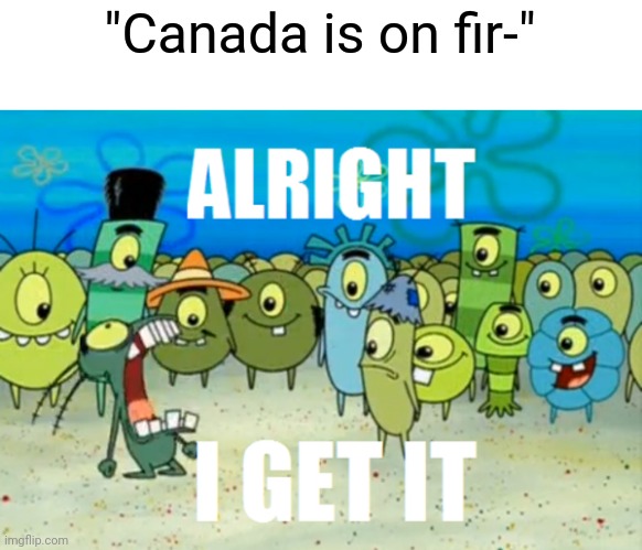 I have seen this too many times right now | "Canada is on fir-" | image tagged in alright i get it,memes,funny,canada | made w/ Imgflip meme maker